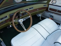 1976 Cadillac Eldorado for sale (ID-162238)