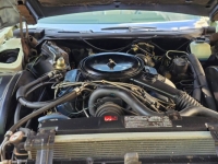 1976 Cadillac Eldorado for sale in Michigan (ID-163421)