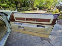 1976 Cadillac Eldorado for sale in Michigan (ID-163421)