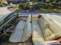 1976 Cadillac Eldorado for sale in Michigan (ID-163421)
