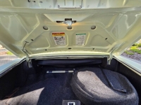 1976 Cadillac Eldorado for sale in Michigan (ID-163421)
