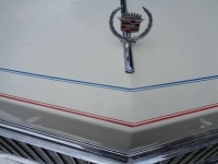 1976 Cadillac Fleetwood for sale in Michigan (ID-121085)