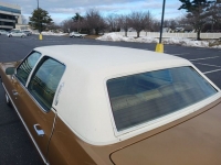 1976 Cadillac Fleetwood Brougham for sale in Riverhead, New York (ID-125990)