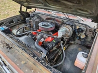 1976 Chevrolet 1500 for sale in Michigan (ID-127707)