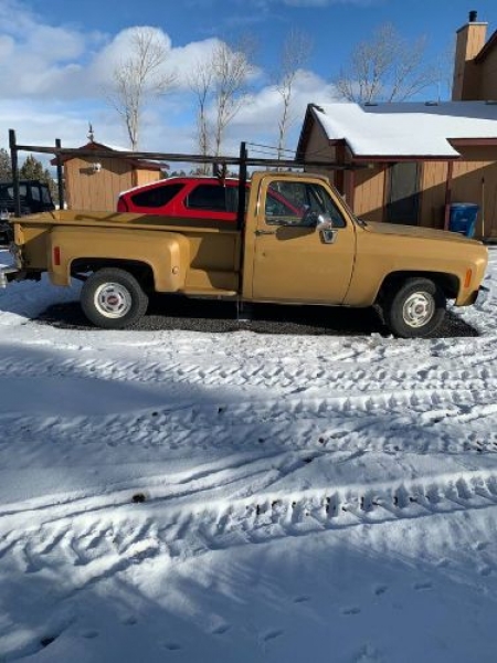 1976 Chevrolet C10 for sale in Michigan (ID-94556) 1976 Chevrolet C10 for sale in Michigan (ID-94556)