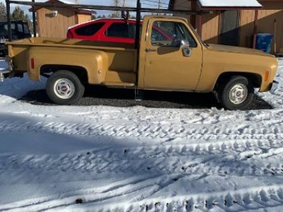 1976 Chevrolet C10 for sale