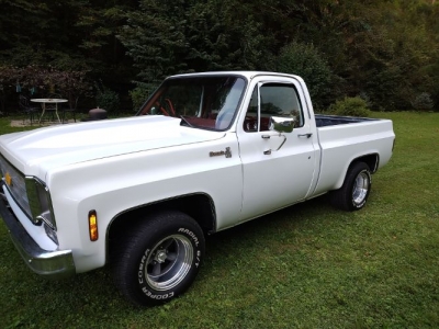 1976 Chevrolet C10 for sale
