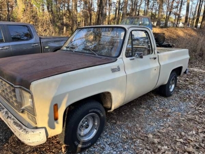 1976 Chevrolet C10 for sale