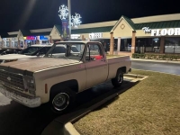 1976 Chevrolet C10 for sale in Michigan (ID-109504)