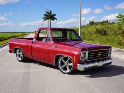1976 Chevrolet C10 for sale