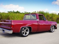 1976 Chevrolet C10 for sale in Michigan (ID-112214)