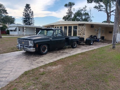 1976 Chevrolet C10 for sale