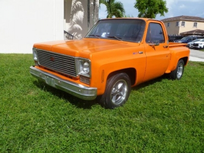 1976 Chevrolet C10 for sale