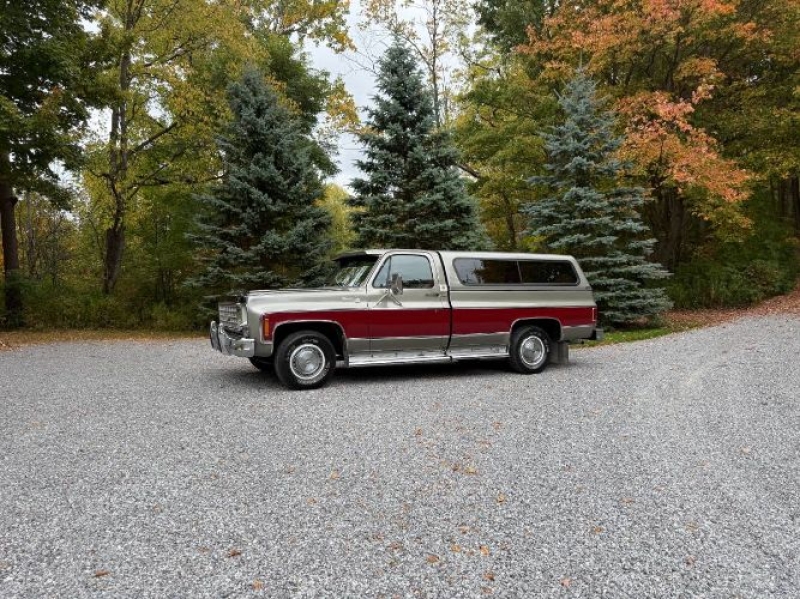 1976 Chevrolet C10 for sale in Michigan (ID-145229)