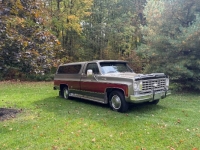 1976 Chevrolet C10 for sale in Michigan (ID-145229)