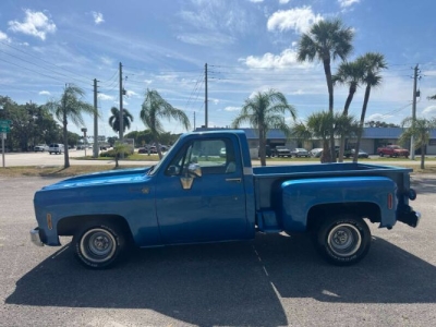 1976 Chevrolet C10 for sale