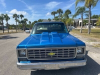 1976 Chevrolet C10 for sale in Michigan (ID-163098)
