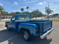 1976 Chevrolet C10 for sale in Michigan (ID-163098)