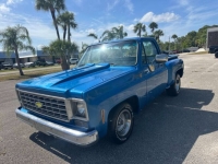 1976 Chevrolet C10 for sale in Michigan (ID-163098)