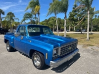 1976 Chevrolet C10 for sale in Michigan (ID-163098)