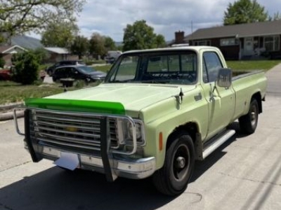 1976 Chevrolet C20 for sale