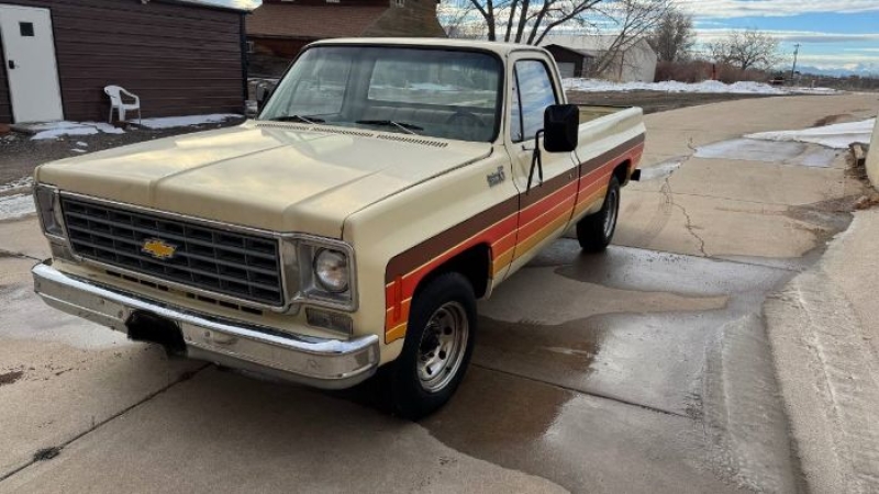 1976 Chevrolet C20 for sale in Michigan (ID-138037) 1976 Chevrolet C20 for sale in Michigan (ID-138037)