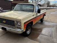 1976 Chevrolet C20 for sale in Michigan (ID-138037)