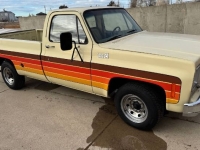 1976 Chevrolet C20 for sale in Michigan (ID-138037)