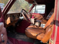 1976 Chevrolet C20 for sale in Michigan (ID-154954)