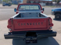 1976 Chevrolet C20 for sale in Michigan (ID-164599)