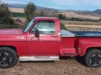 1976 Chevrolet C20 for sale in Michigan (ID-164599)