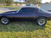 1976 Chevrolet Camaro for sale in Michigan (ID-112529)