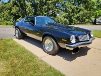 1976 Chevrolet Camaro for sale in Michigan (ID-130924)