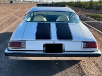 1976 Chevrolet Camaro for sale in Michigan (ID-138576)