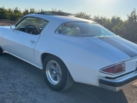 1976 Chevrolet Camaro for sale in Michigan (ID-138576)