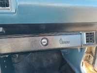 1976 Chevrolet Camaro for sale in Michigan (ID-138576)