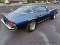 1976 Chevrolet Camaro for sale in Philadelphia, Pennsylvania (ID-138833)