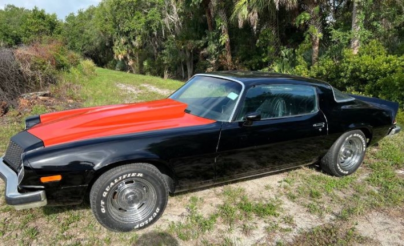 1976 Chevrolet Camaro for sale in Michigan (ID-141845)