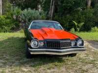 1976 Chevrolet Camaro for sale in Michigan (ID-141845)