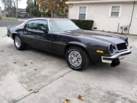1976 Chevrolet Camaro for sale in Michigan (ID-154996)