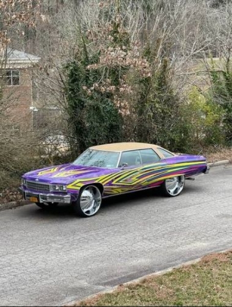 1976 Chevrolet Caprice Classic for sale in Michigan (ID-94256)