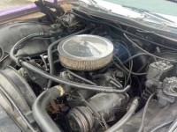 1976 Chevrolet Caprice Classic for sale in Michigan (ID-94256)