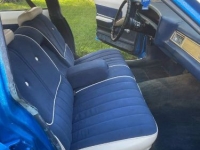 1976 Chevrolet Caprice Classic for sale in Michigan (ID-123596)
