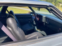 1976 Chevrolet Chevelle for sale in Michigan (ID-94633)