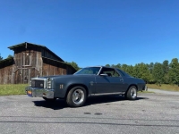 1976 Chevrolet Chevelle for sale in Michigan (ID-94633)
