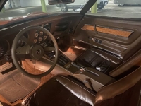 1976 Chevrolet Corvette for sale in Michigan (ID-96141)