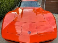 1976 Chevrolet Corvette for sale in Michigan (ID-96141)