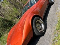 1976 Chevrolet Corvette for sale in Michigan (ID-101443)