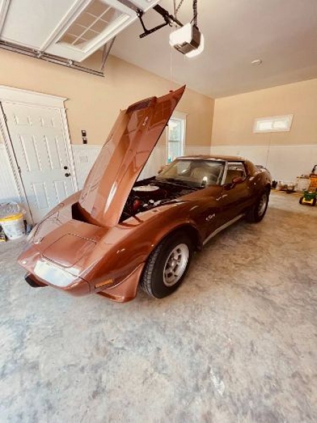 1976 Chevrolet Corvette for sale in Michigan (ID-103746)