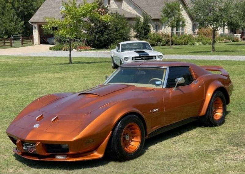 1976 Chevrolet Corvette for sale in Michigan (ID-106658)